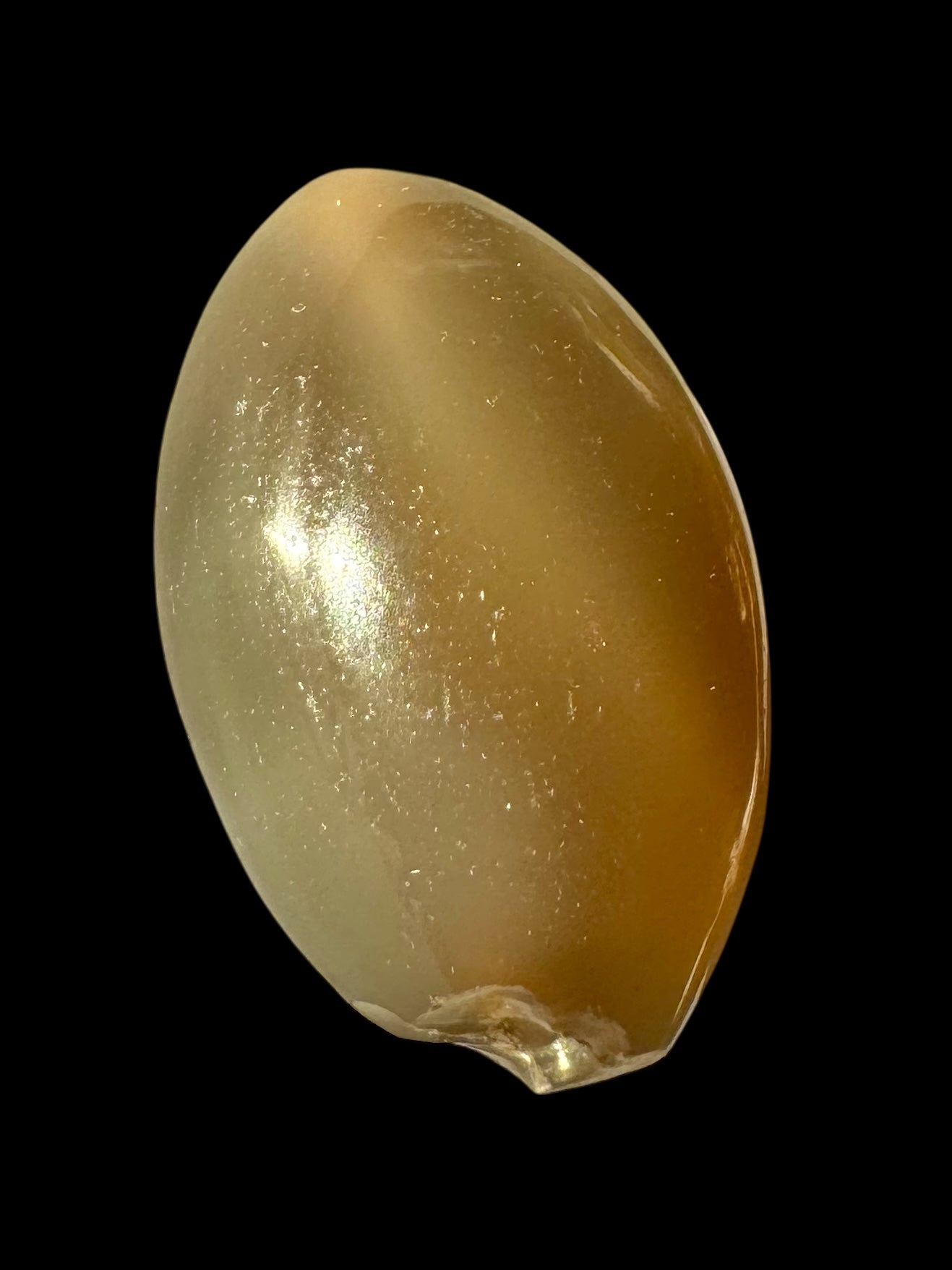 Eye-Structure Agate Bead