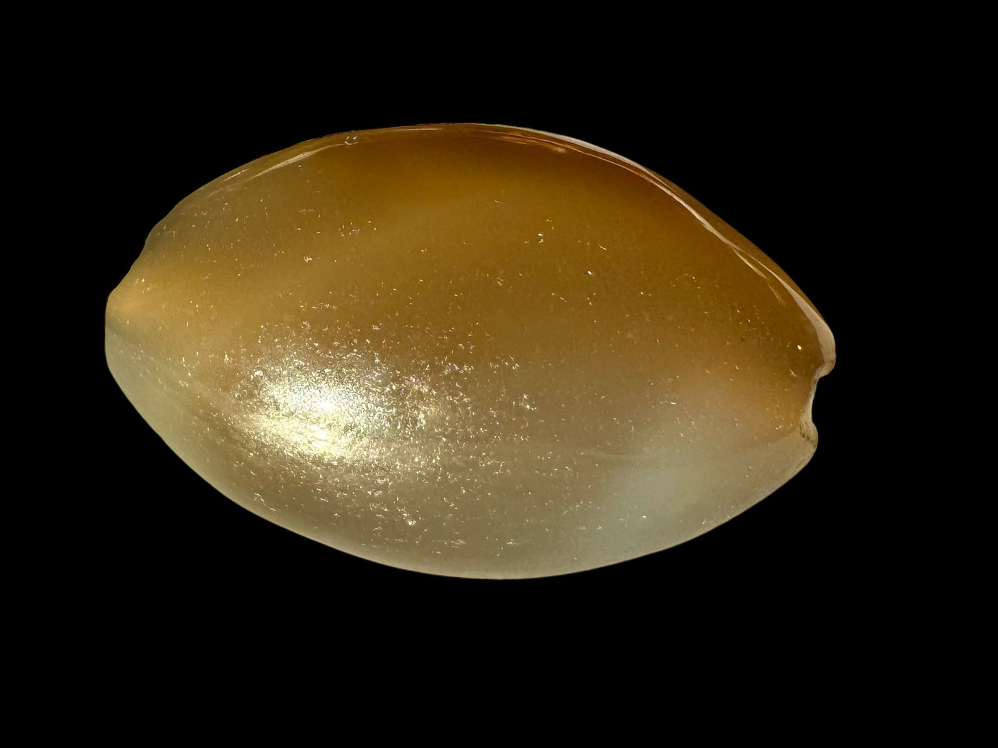 Eye-Structure Agate Bead